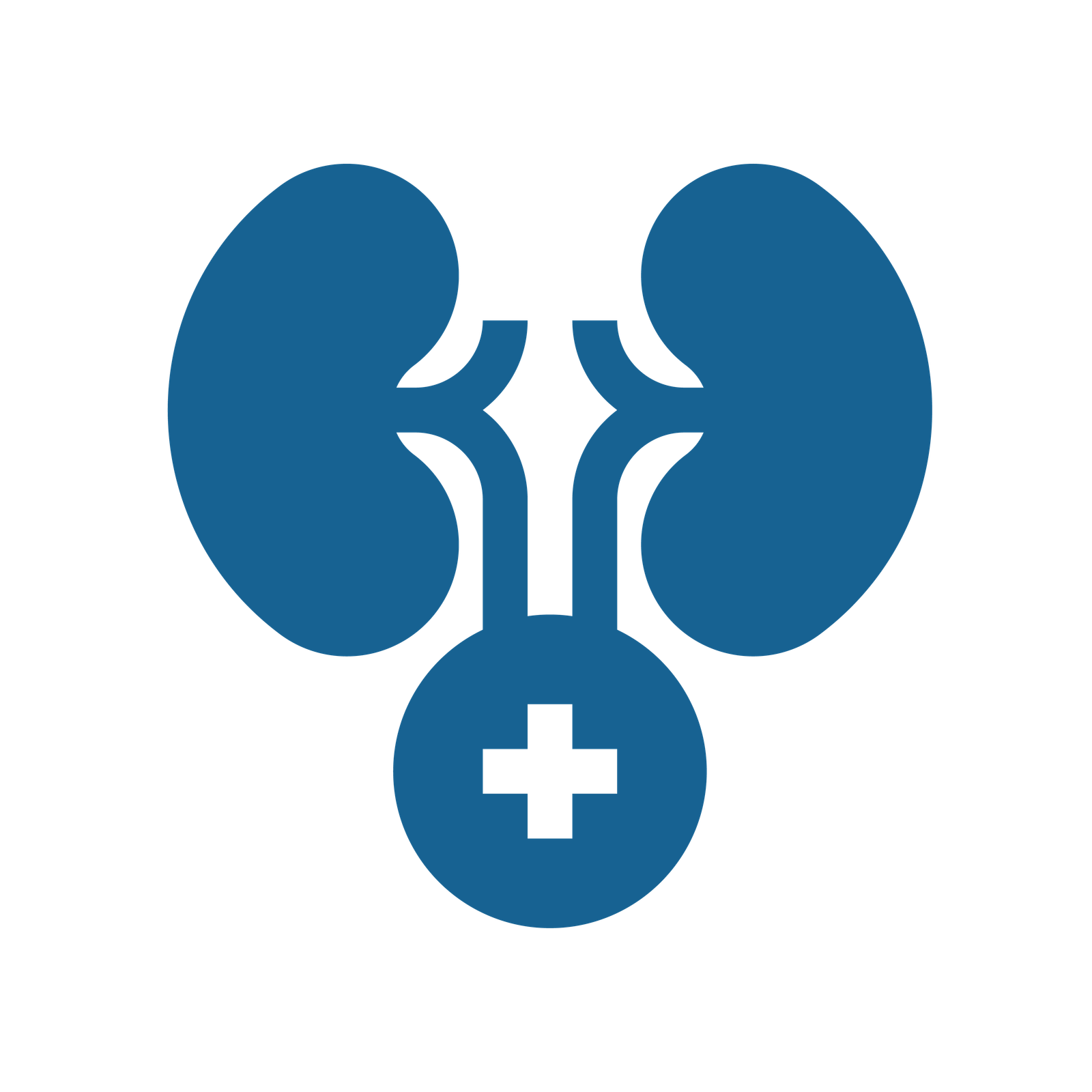 Urologi