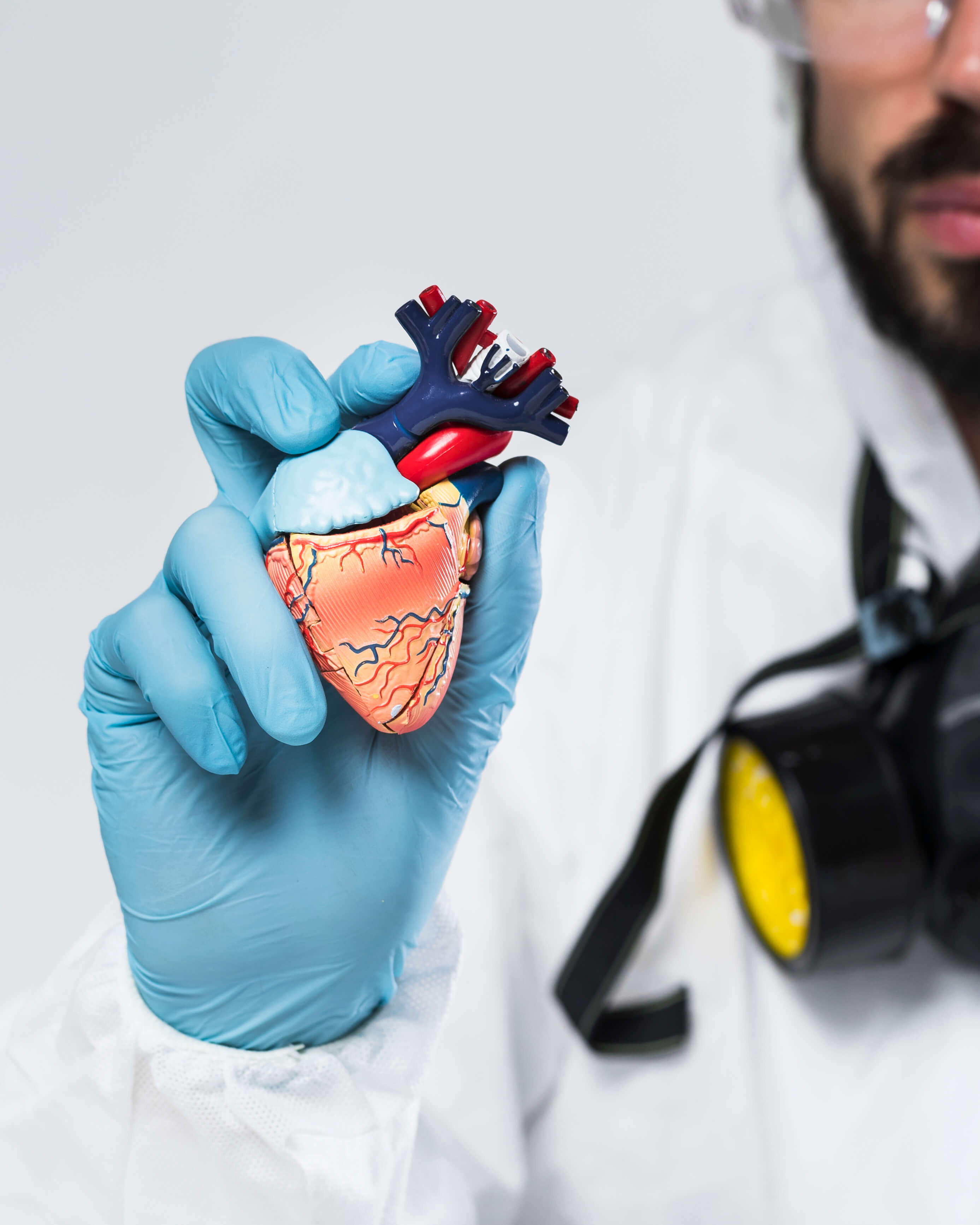 The Role of Cardiologists in Maintaining Cardiovascular Health