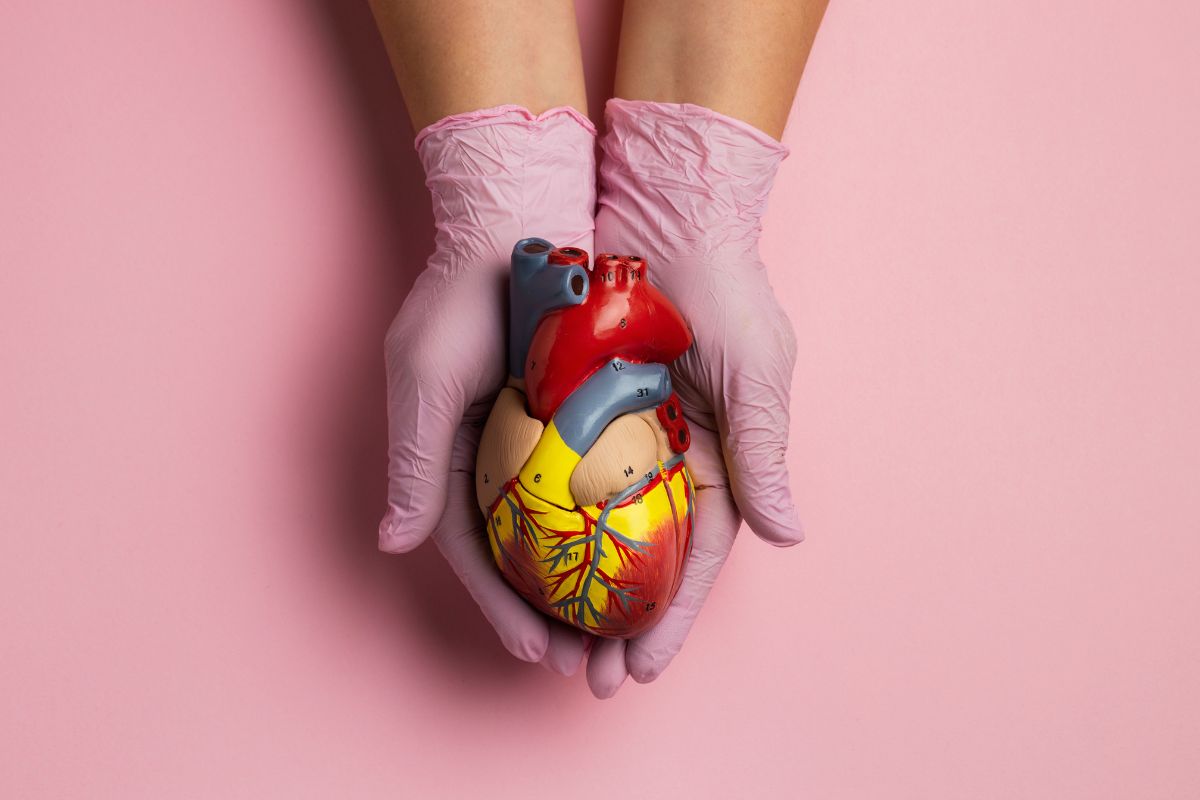What Is Endocarditis ?