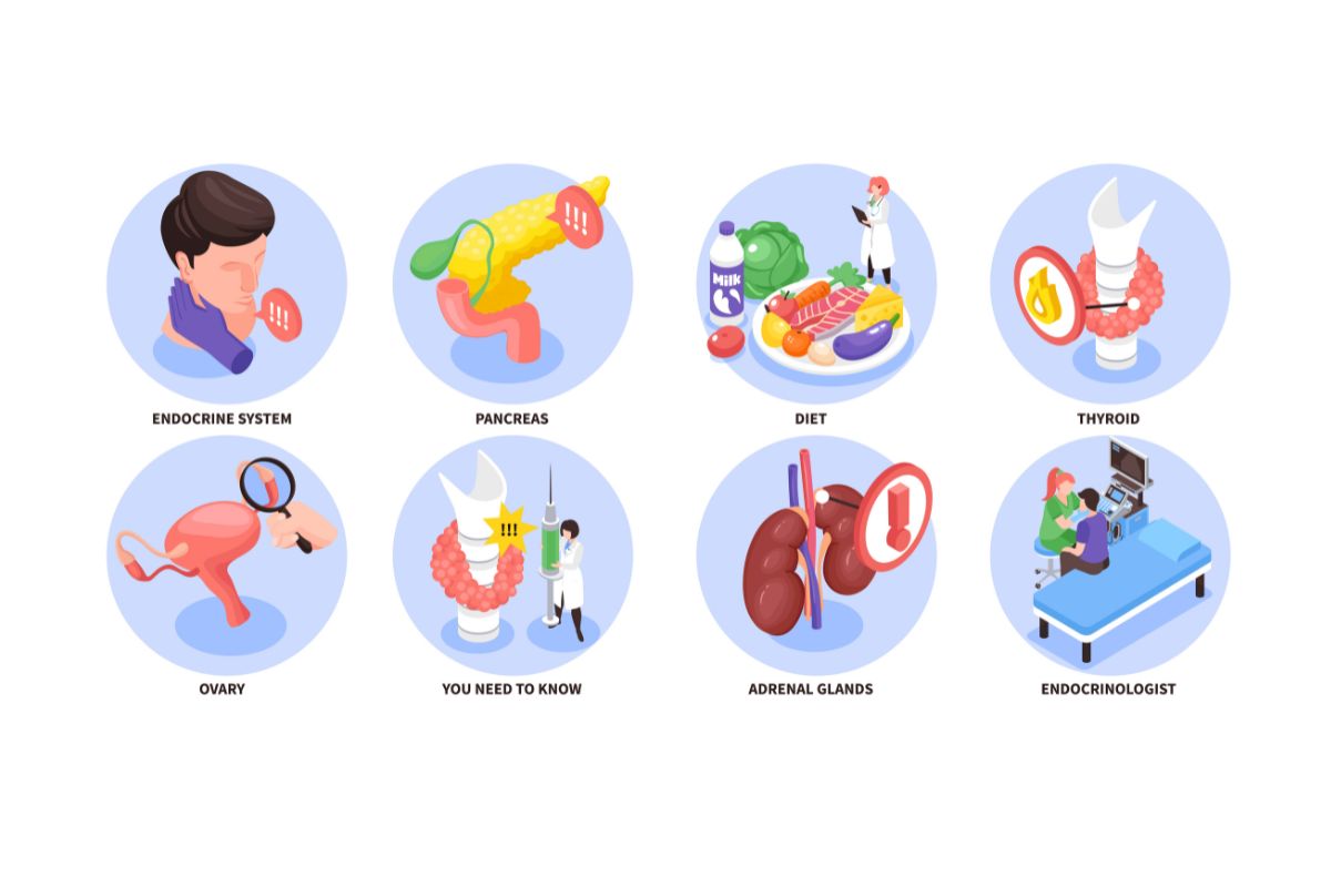 내과 전문의는 어떤 질환을 치료하나요 ?