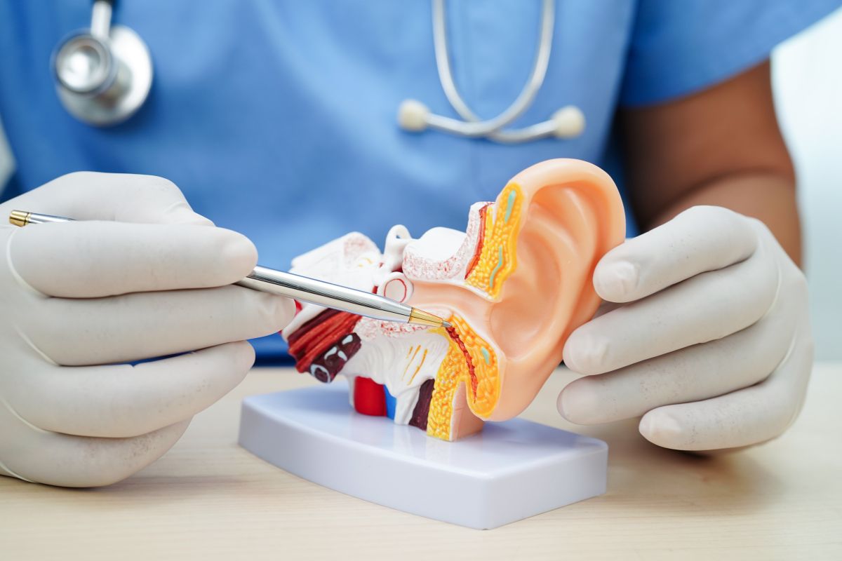 Why Does Ear Ringing Happen ?